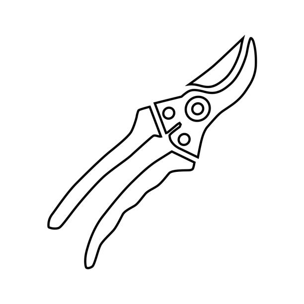 The secateur outline icon. A tool for pruning branches and gardening in a simple style. Vector illustration isolated on a white background for design and web. The secateur outline icon. A tool for pruning branches and gardening in a simple style. Vector illustration isolated on a white background for design and web. branch trimmers stock illustrations