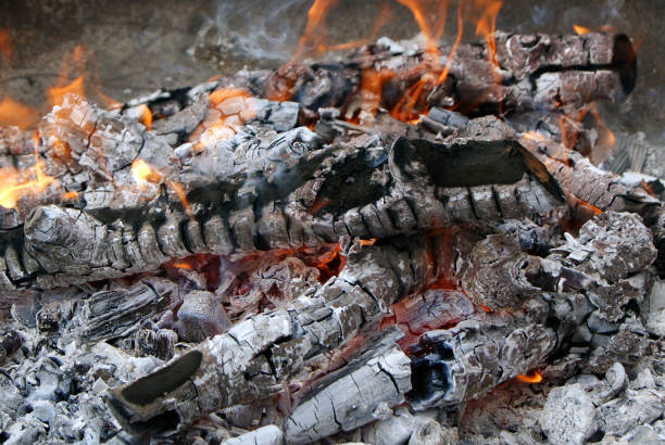 istock Closeup of a bonfire. 1405761600