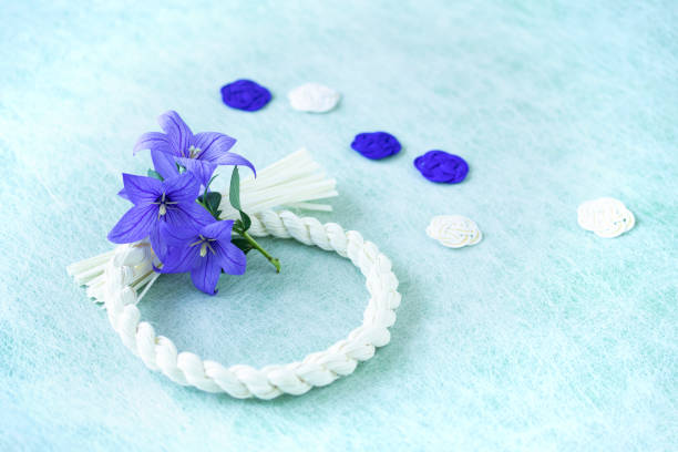 istock japanese images of blue Platycodon grandiflorus 1405763976