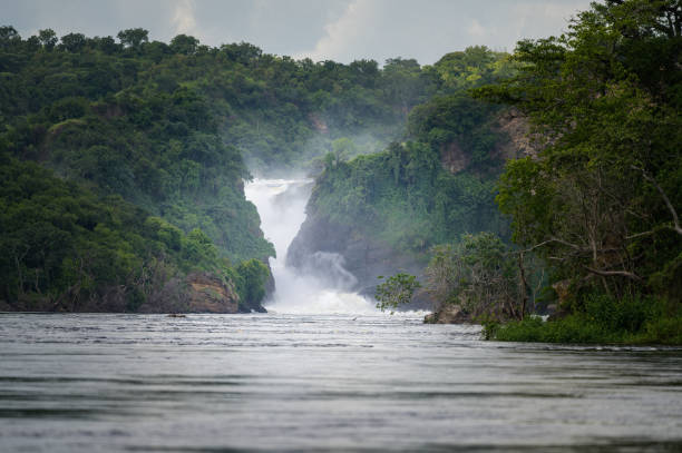 istock Waterfall in Murchinson Falls National Park Uganda 1405764143