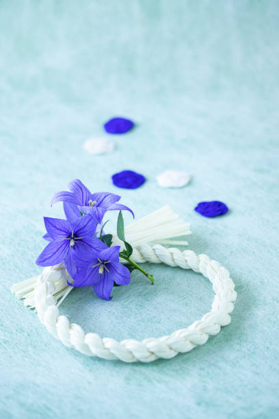 istock japanese images of blue Platycodon grandiflorus 1405764206