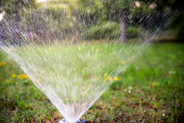 istock Watering the house backyard 1405765183