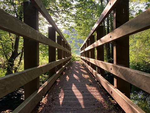 Sunrise over slatted wooden foot bridge in a peaceful woodland