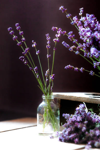 istock Lavender flowers on wooden background 1405767524