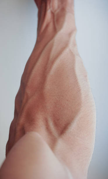 Male strong muscular arm forearms, muscles on arm close up. On a white background. Male strong muscular arm forearms, muscles on arm close up. On a white background. forearm stock pictures, royalty-free photos & images