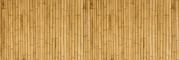 istock Bamboo banner background. Wooden texture bamboo plant on the decorative wall 1405772871