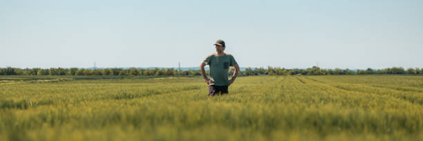 istock Panoramic image of middle-aged farmer with hands on hips standing in unripe barley crops field and looking over plantation, wearing green t-shirt and trucker hat on bright sunny spring day 1405772969