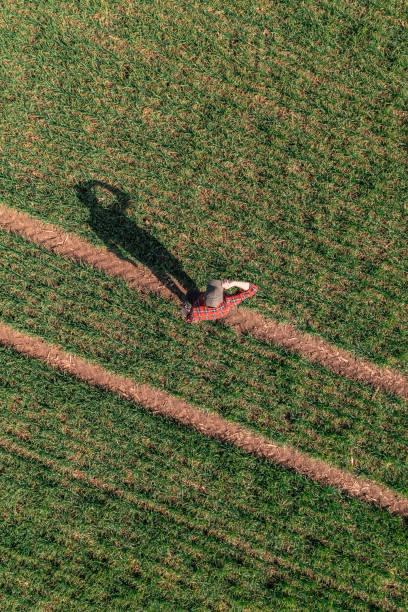 istock Farmer using remote controller to fly the agricultural drone and observe the cultivated wheat field 1405773120