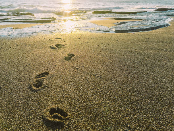istock Bare footprints in the wet sand. Human footprints going into the ocean. 1405778786