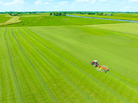 Tractor pulling a rotary rake to prepare the collection hay stacks from a grass pasture seen from above during springtime.