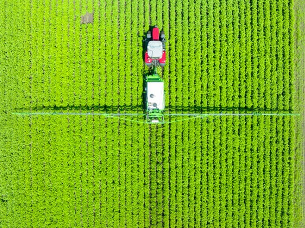 istock Agricultural crops sprayer spraying on a field during springtime 1405779359
