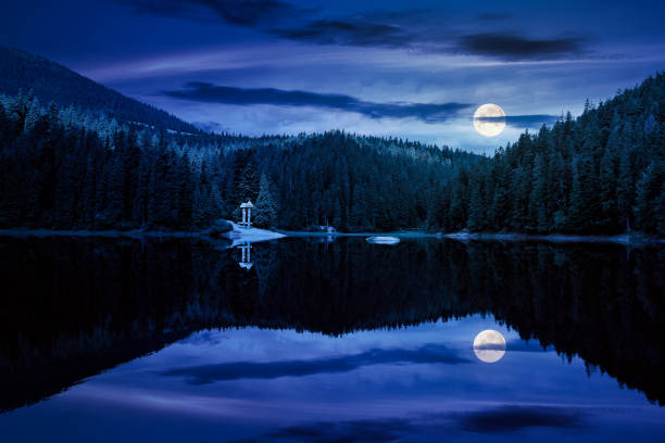 istock tranquil landscape with lake in summer at night 1405781077