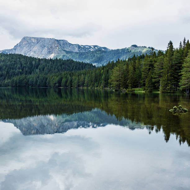 istock Mountain lake shore and coniferous forest, Durmitor, Montenegro. 1405781777