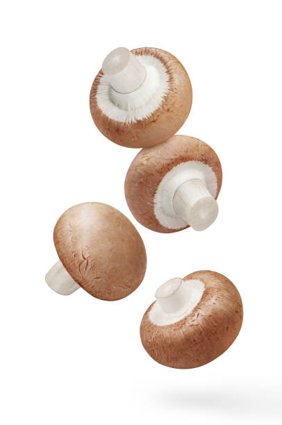 istock Flying delicious mushrooms on white 1405783399