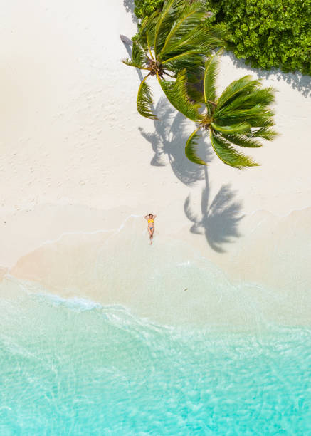 Beautiful woman lying down under shades of palm trees Beautiful woman lying down under shades of palm trees maldive islands stock pictures, royalty-free photos & images