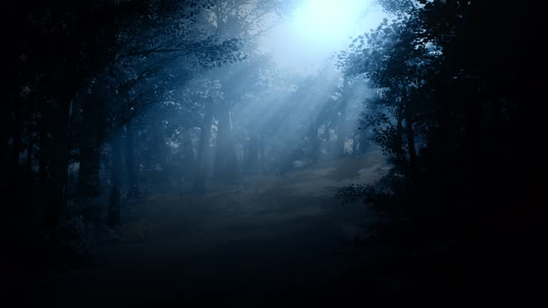 Passage along the path in a moonlight in a forest at night