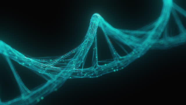 Creative polygonal human DNA helix on black  backdrop. Biology and gene concept, 3D Rendering.