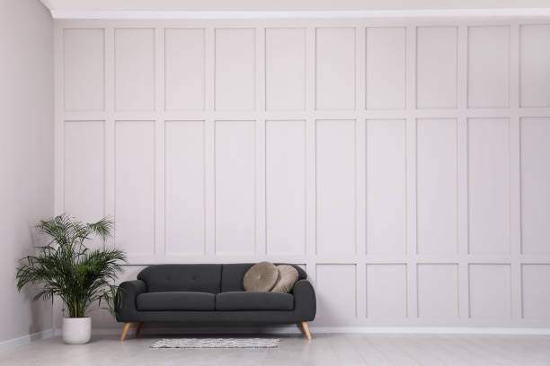 istock Grey sofa and green plant near empty molding wall indoors, space for text 1405793138