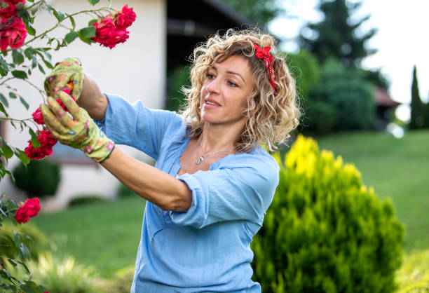 istock Woman working in the garden. 1405793332