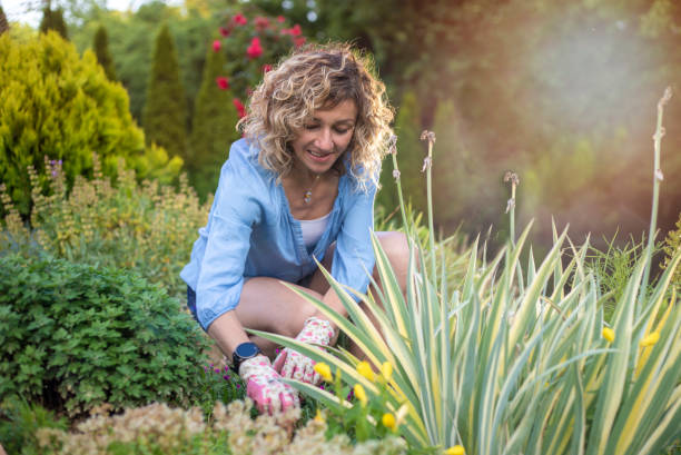 istock Woman working in the garden 1405793373