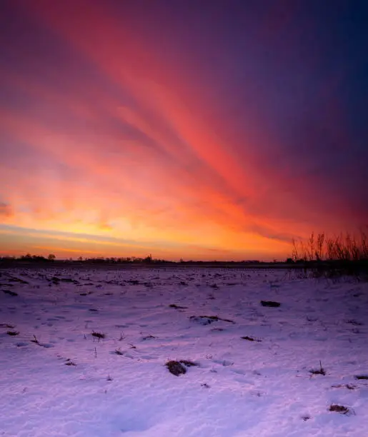 Spectacular Winter sunrise over flat agricultural land in the Fens in the East of England, Spalding, Lincolnshire.