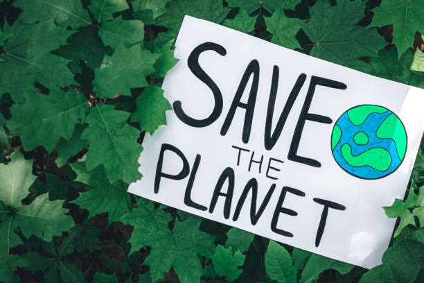 Poster with the inscription save the planet in the forest among the plants. Poster with the inscription save the planet in the forest among plants, the concept of ecology, love for nature, top view. greenpeace stock pictures, royalty-free photos & images