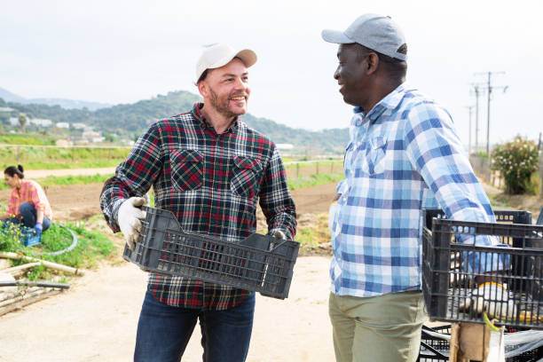 istock Two male farmers talking on vegetable farm 1405800673