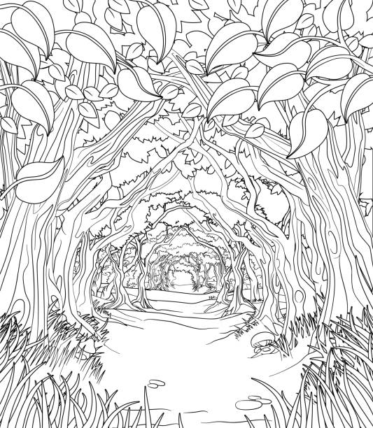 Woodland Forest Trees Path Coloring Book Scene A fairytale fantasy magic woodland forest trees tunnel background landscape scene. Outline black and white coloring book page colouring book stock illustrations