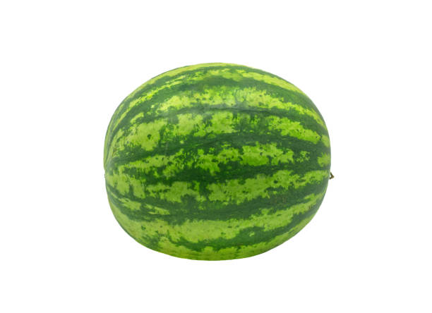 The whole body of fresh watermelon The whole body of fresh watermelon, side view, isolated the whole watermelon on white background. watermelon stock pictures, royalty-free photos & images