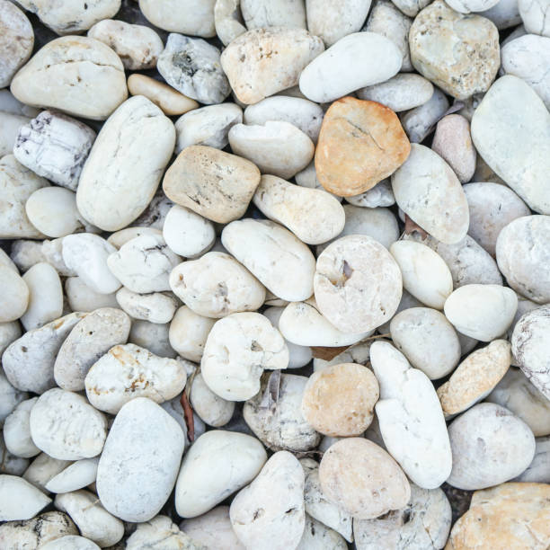 istock White pebbles stone or river stone  texture and background 1405808933