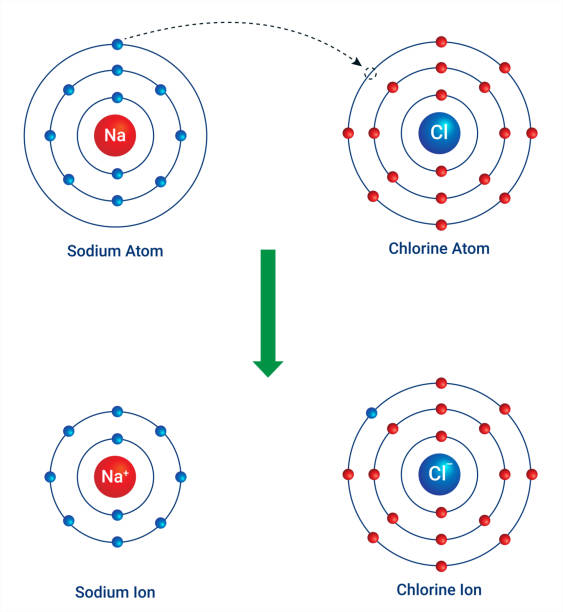 die bindung, die sich als ergebnis der elektrostatischen anziehung zwischen den positiven und negativen ionen bildete, wurde als elektrovalente bindung bezeichnet. - ionic stock-grafiken, -clipart, -cartoons und -symbole