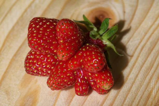 Garden strawberry (or simply strawberry; Fragaria × ananassa) is a widely grown hybrid species of the genus Fragaria, collectively known as the strawberries.