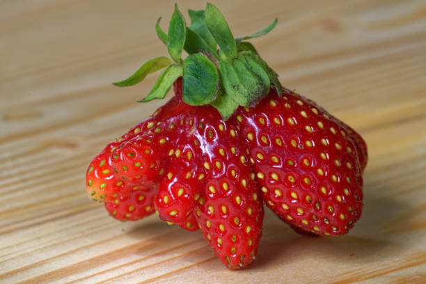 Garden strawberry (or simply strawberry; Fragaria × ananassa) is a widely grown hybrid species of the genus Fragaria, collectively known as the strawberries.