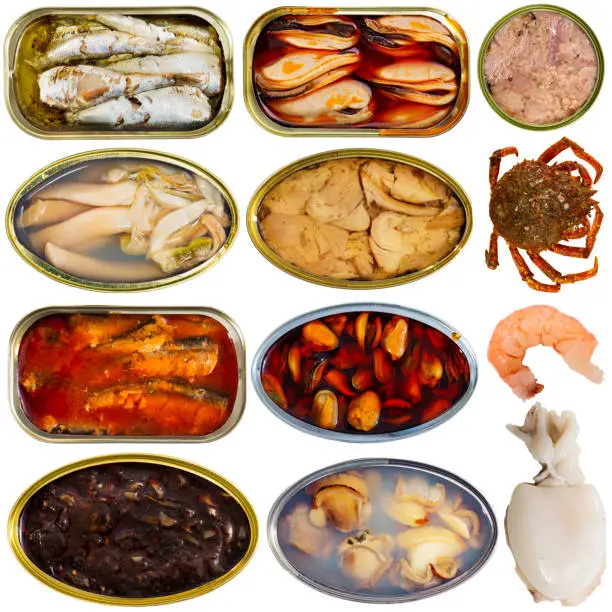 Photo of Set of assorted fish and seafood. Raw and semi-finished products