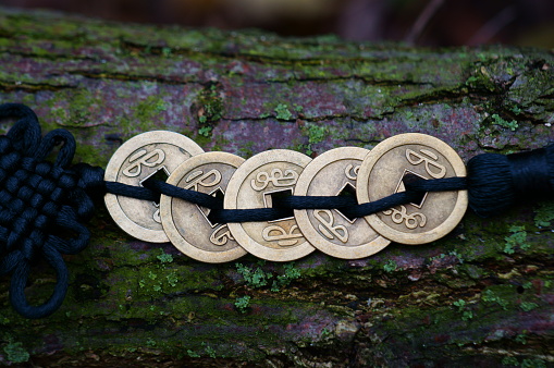 Chinese Feng Shui coins on the bark of a tree. A religious symbol. Hieroglyphs mean attracting good luck and financial well-being.