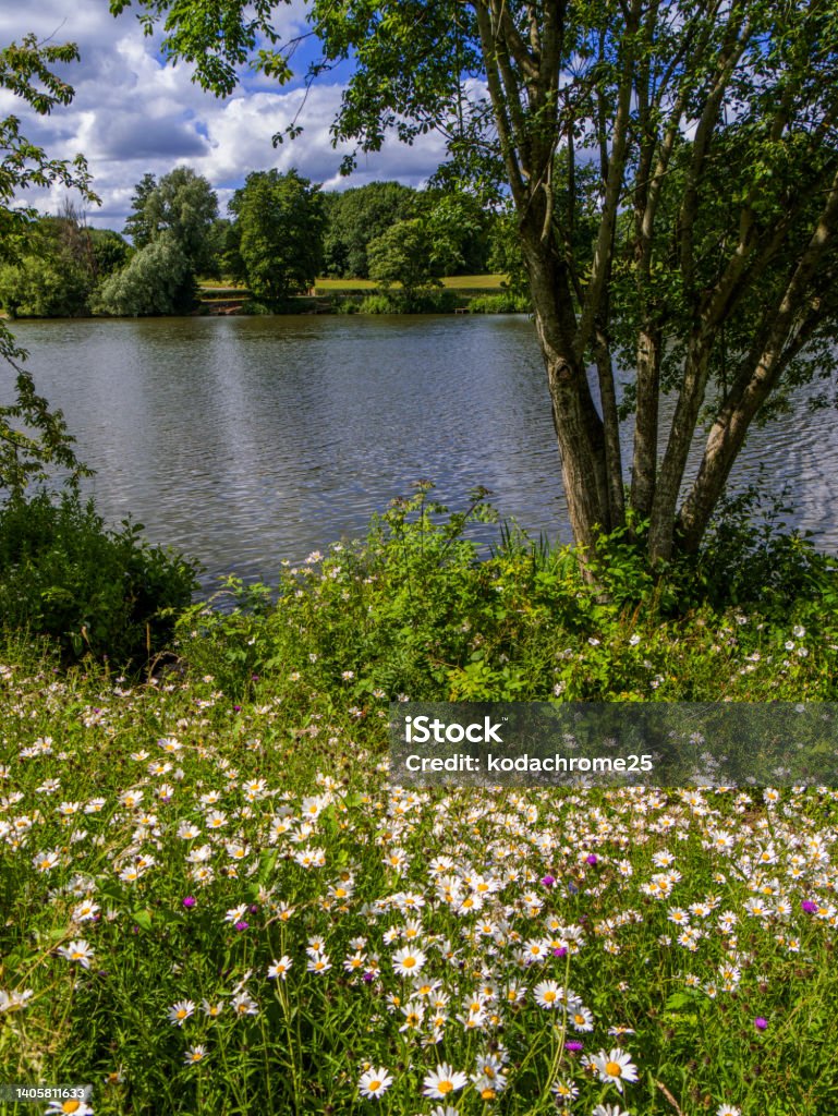 Fluss Pfeil Tal See Land Park Redditch Worcestershire Englisch Midlands