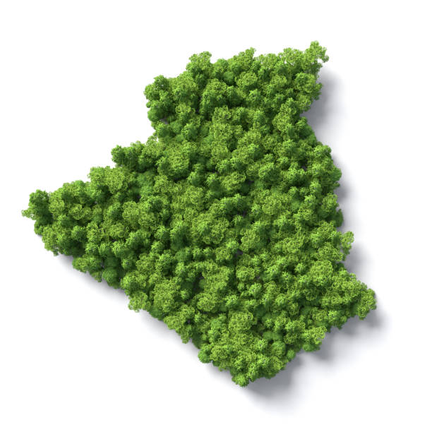 istock Forest in the shape of Algiers 1405812138