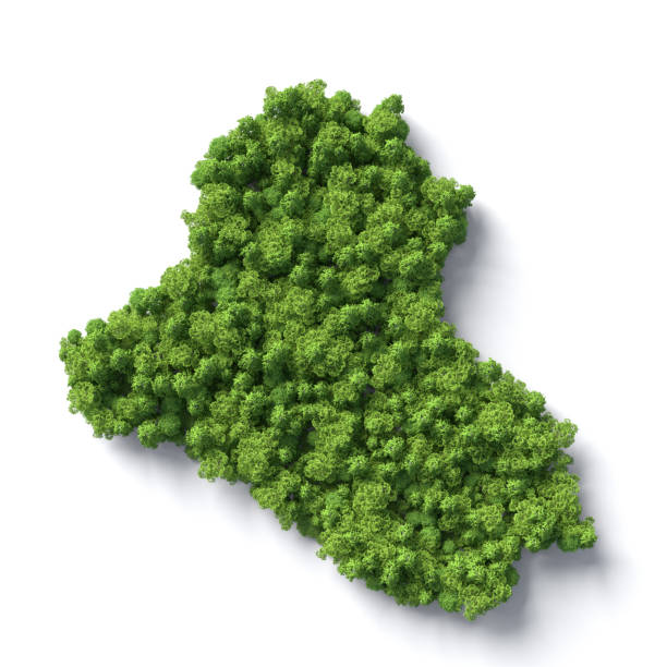 istock Forest in the shape of Iraq 1405812143