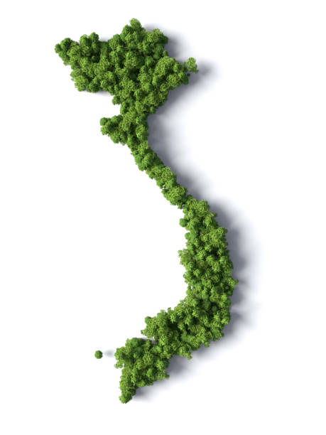 istock Forest in the shape of Vietnam 1405812166