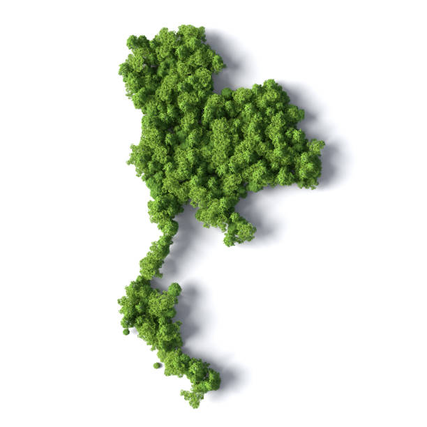 istock Forest in the shape of Thailand 1405812174