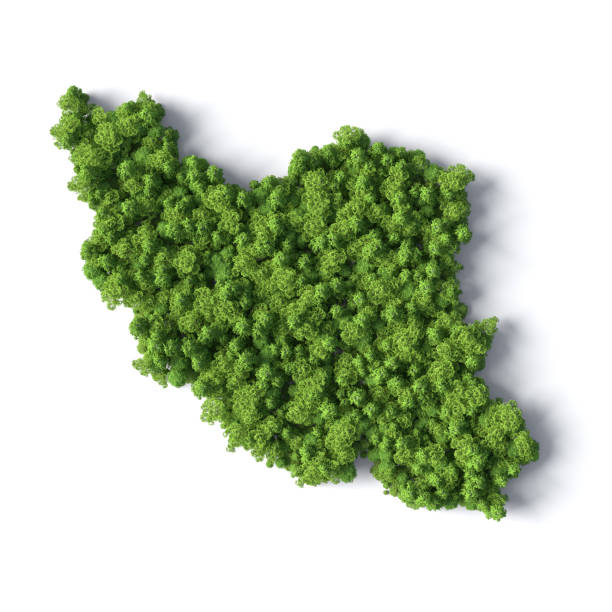istock Forest in the shape of Iran 1405812176