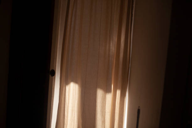 istock Light on fabric. Peach blossoms in curtains in sun. 1405813228