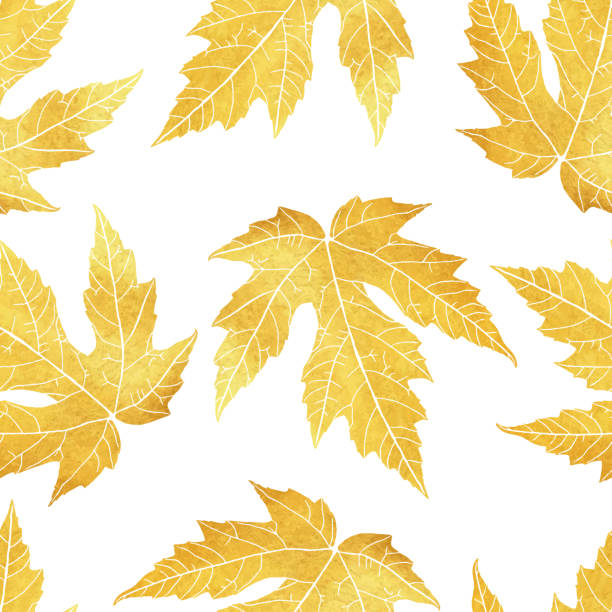 бесшовный узор с золотыми нарисованными вручную осенними листьями. цветочный каркас изолированный фон.  векторный элемент цветочного диза - thanksgiving maple leaf abstract autumn stock illustrations