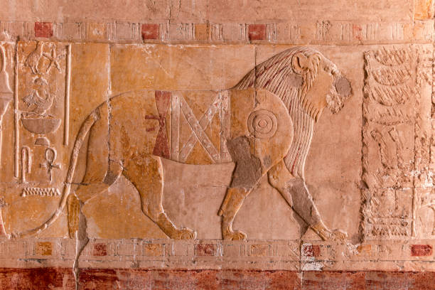 malowane płaskorzeźby lwa ze środkowej kolumnady przy świątyni hatszepsut. luxor. egipt. - luxor africa archaeology architecture zdjęcia i obrazy z banku zdjęć