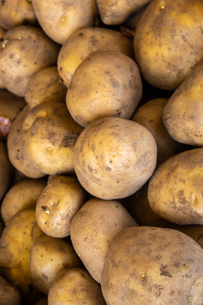 istock fresh organic potatoes from farm close up from different angle 1405823504