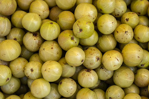 fresh indian gooseberries from farm close up from different angle