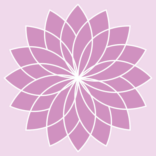 kwiat mandali lotosu. ilustracja projektu jogi lub buddyzmu. rysunek wektorowy ii. - mantra stock illustrations