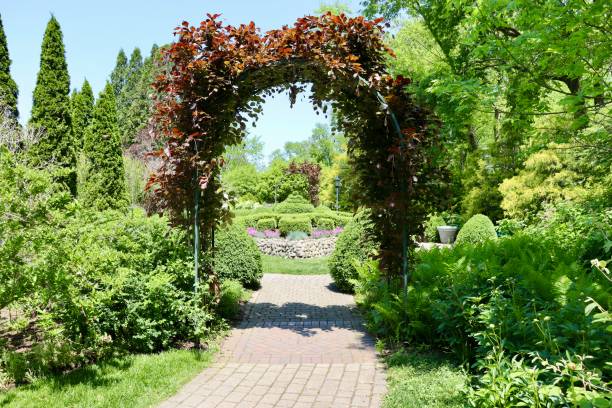 istock Pathway in the Countryside Garden 1405829409