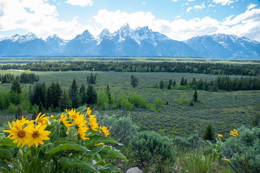 Scenic view of the Grand Teton National Park's snow capped peaks in Wyoming near Jackson, Moran and Moose Wyoming, USA.