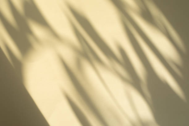 istock Trees branch and leaf with shadow on yellow paper background. Place for text, copy space, top view 1405832724